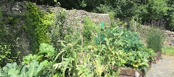 Family self catering upto 16 in great cottage no neighbours and local facilities