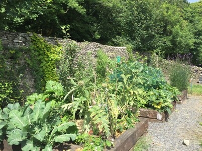 Family self catering upto 16 in great cottage no neighbours and local facilities