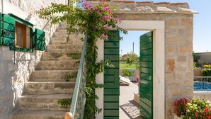 Un escalier en pierre, avec des volets verts menant à une porte, est entouré de verdure et de fleurs.