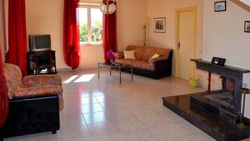 Télévision, cheminée, lecteur de DVD, livres