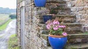 Three potted plants on stone steps. - Bowes Barn 4 Star near Beamish, Newcastle & Durham - Sleeps 3 -  Dogs Welcome  (Gateshead)