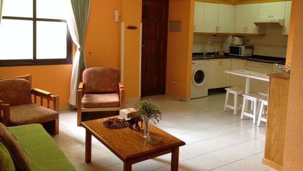 A compact living space with a sofa, armchairs, a wooden coffee table, a kitchen area with a washing machine, and a dining table.