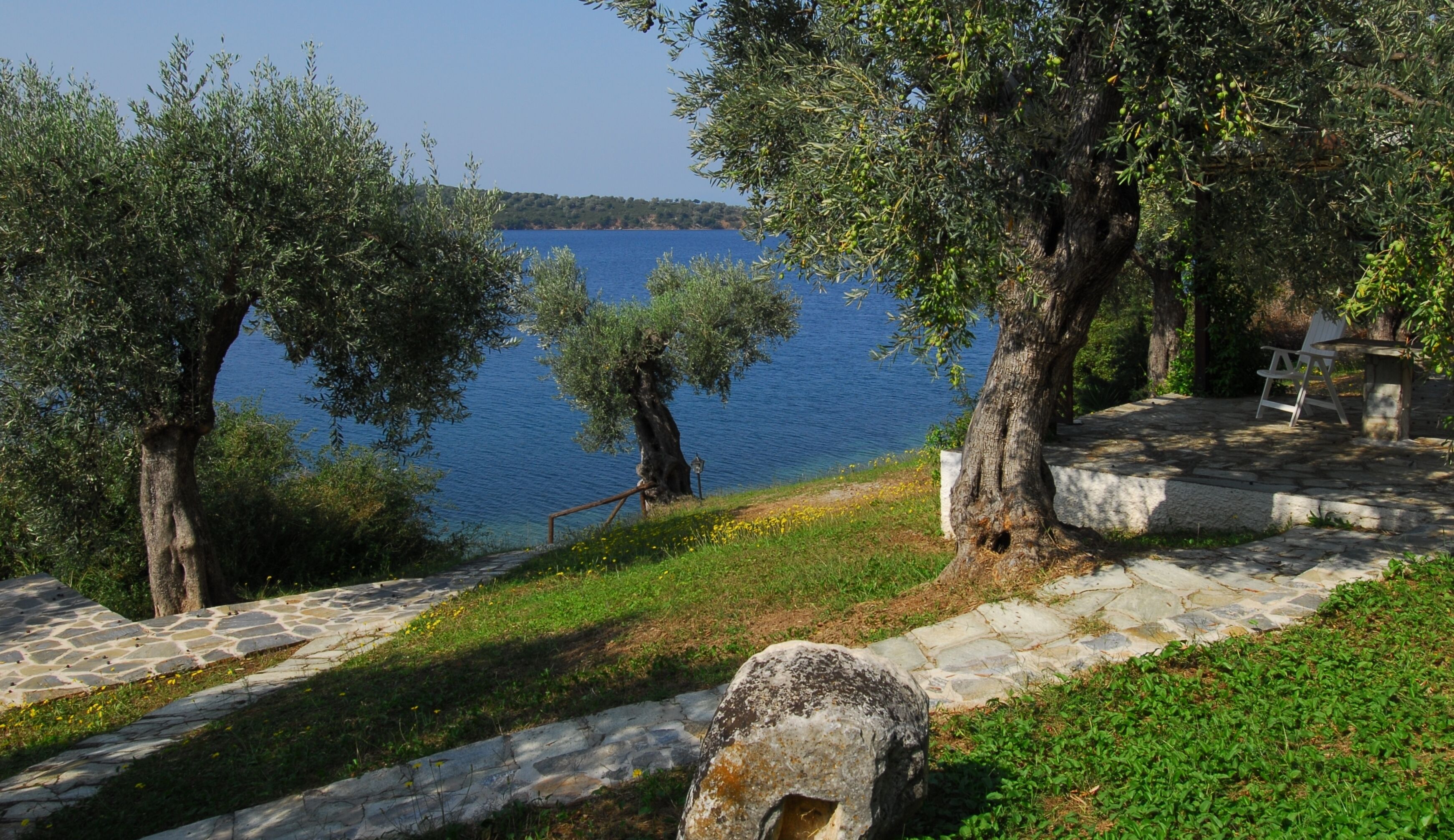 Seaview from the garden