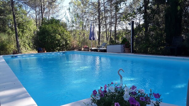 Una piscina con un borde de flores y una decoración de cisne.