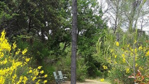 Un sendero de grava que conduce a una zona de estar con dos sillas y un objeto azul, rodeado de follaje y flores amarillas.