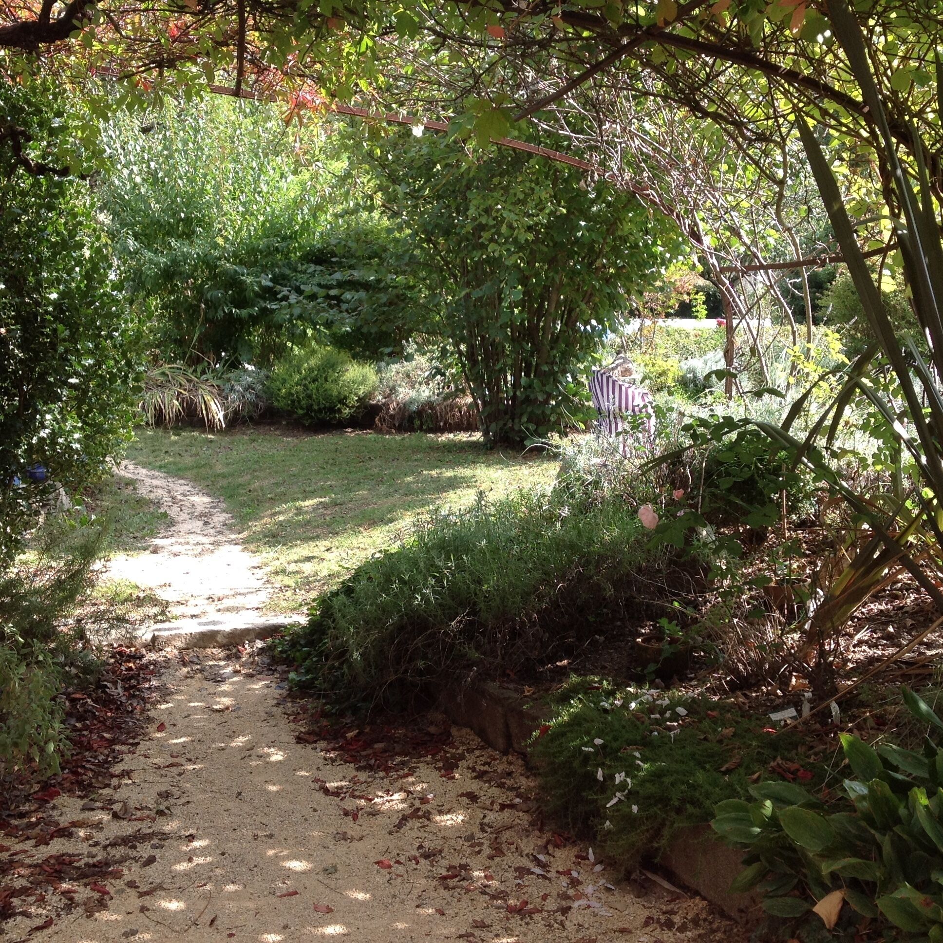 A narrow dirt path surrounded by dense greenery and trees.