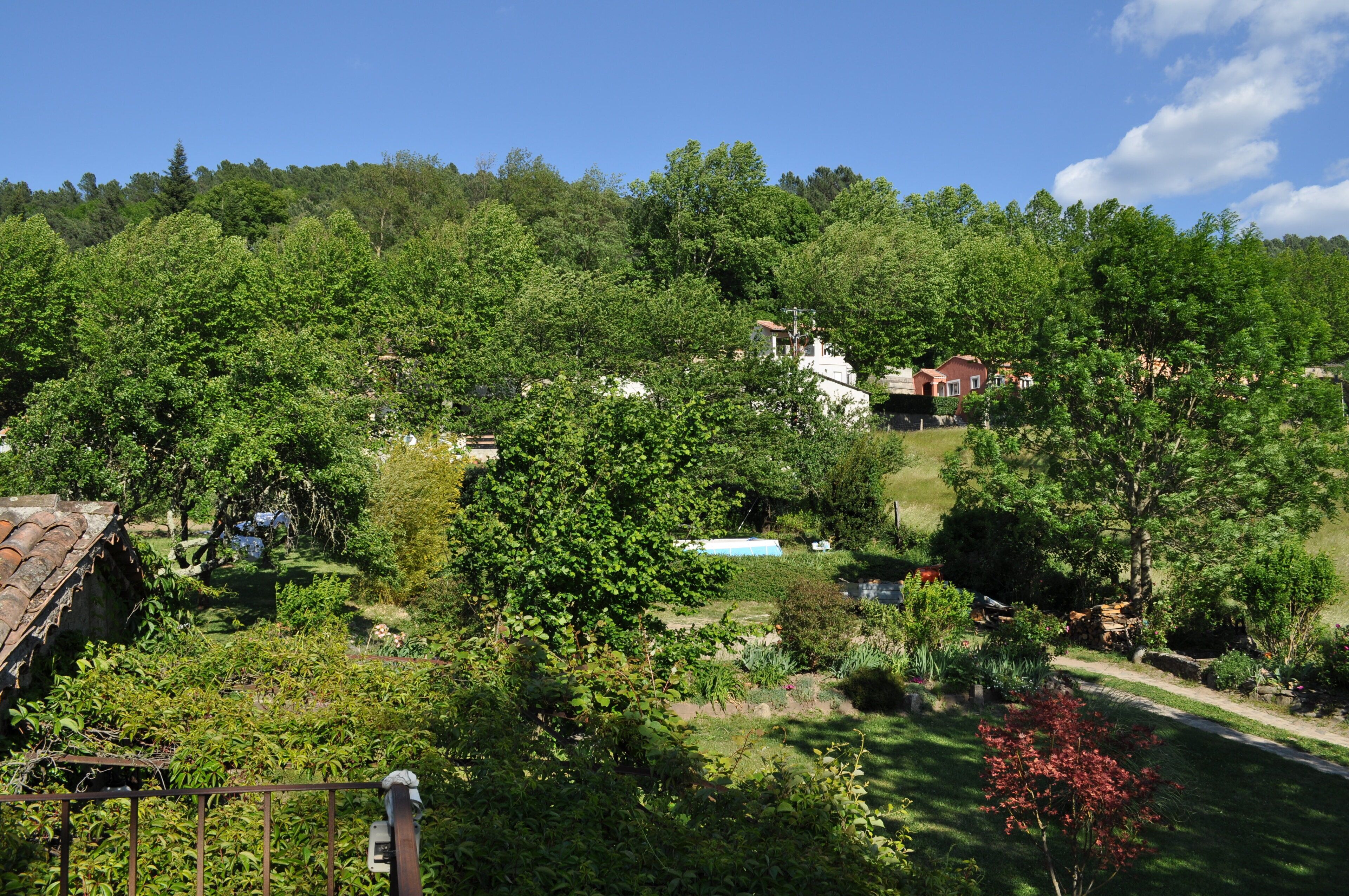 A lush green landscape with a white building surrounded by dense trees.