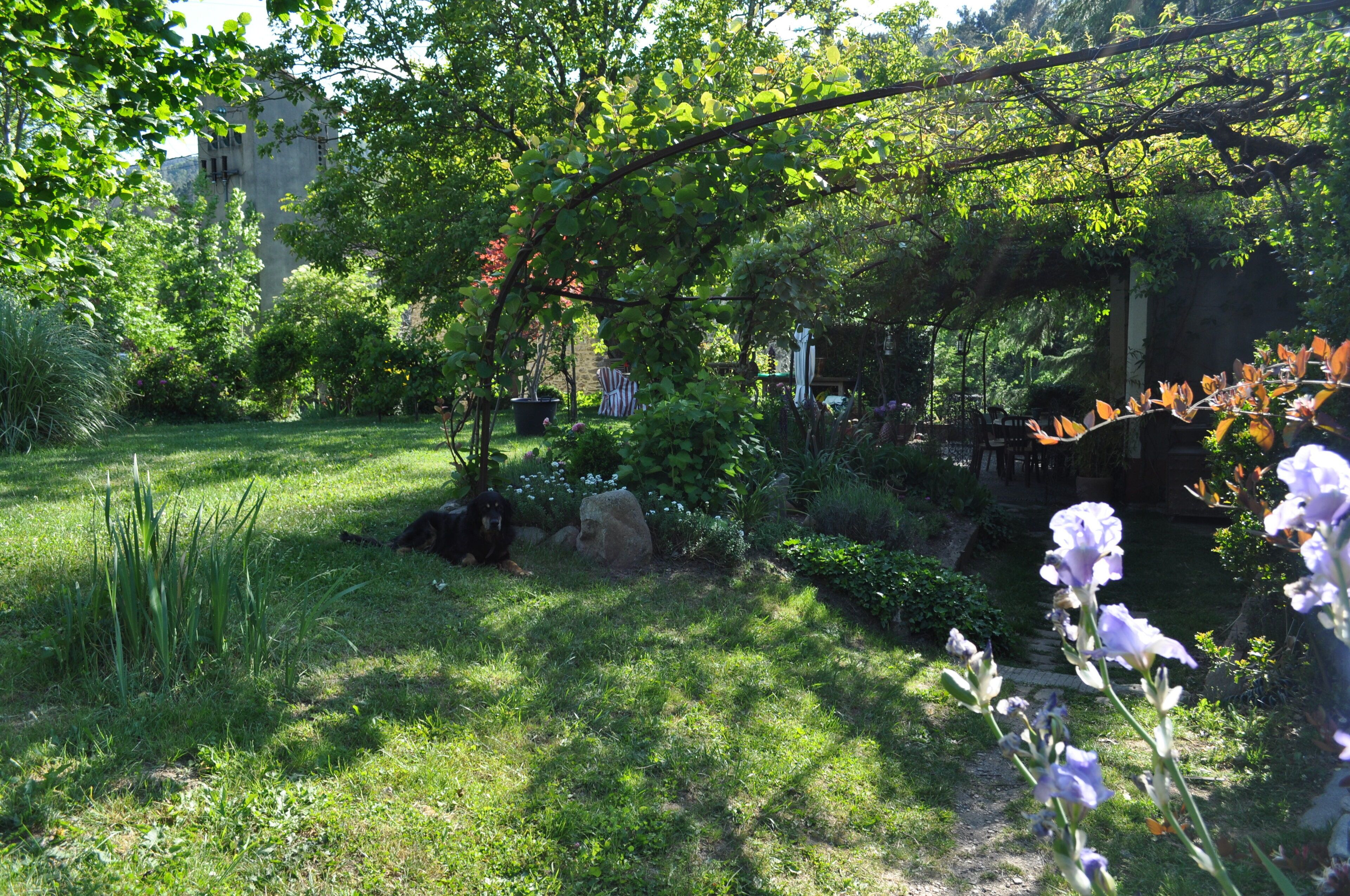 A lush garden with a variety of plants and a pathway leading to a building.
