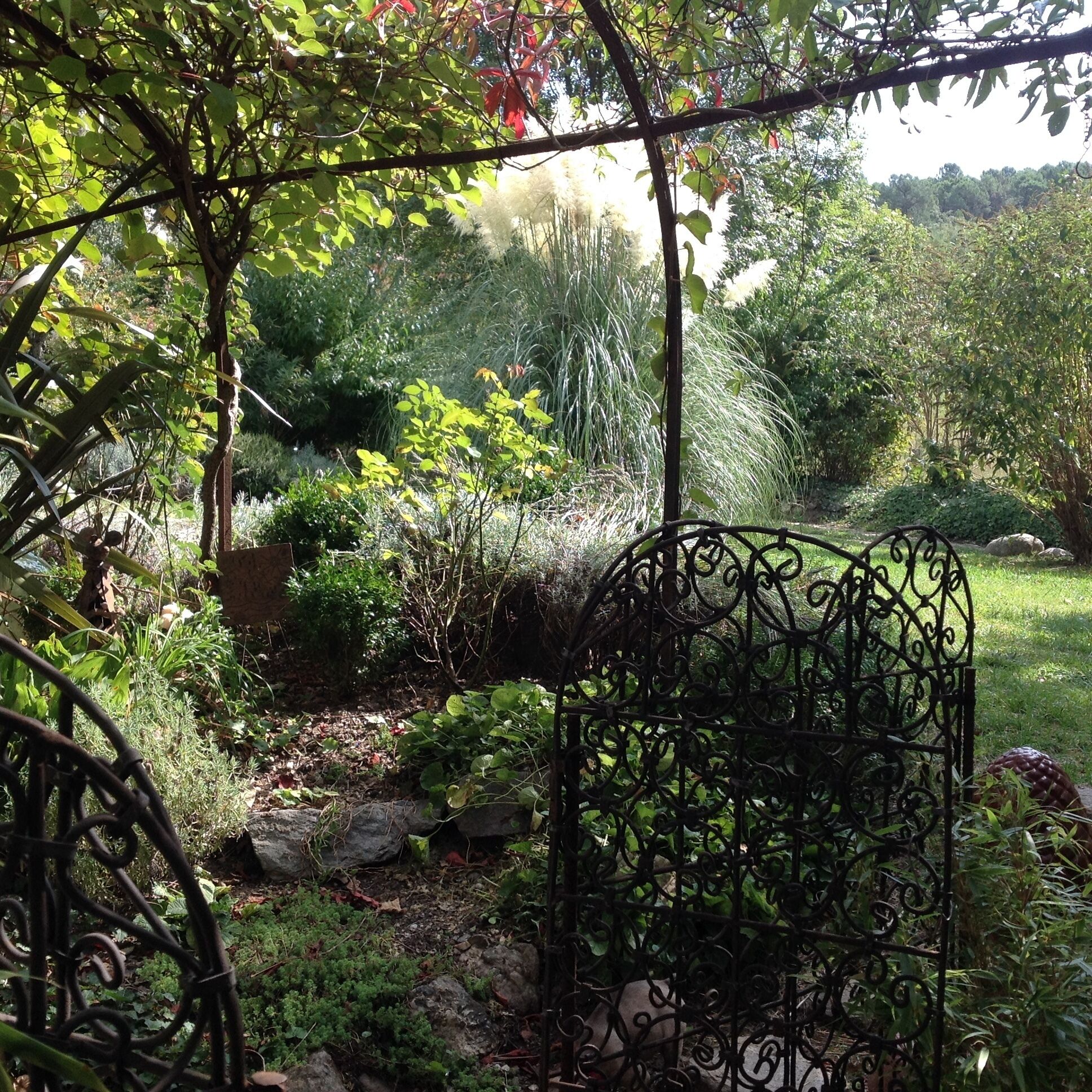 A garden with a metal pergola, various plants, and a stone pathway.