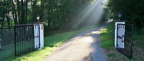 A paved pathway flanked by metal gates and a chain-link fence, leading into a wooded area.