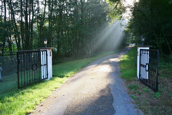 A paved pathway flanked by metal gates and a chain-link fence, leading into a wooded area.