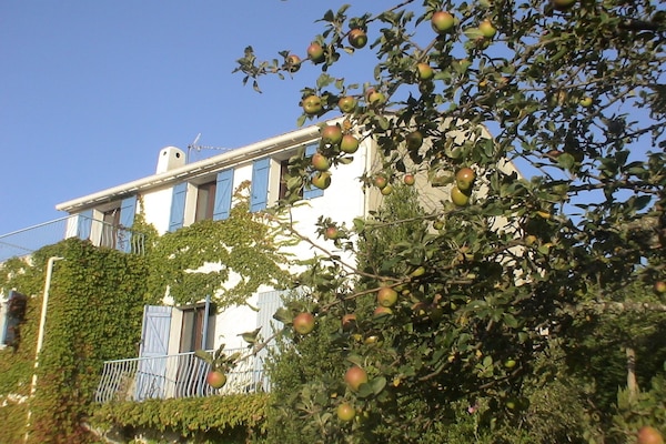 vue de la façade