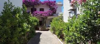 Gargano. Villa 7 bäddar till 100 meter från havet