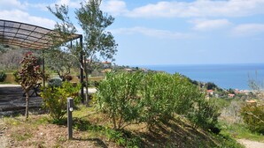 A garden with a pergola, olive trees, and a view of the sea.