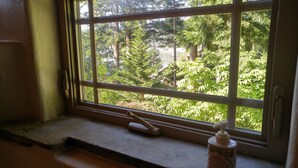 A window with a view of a garden, a window cleaner, and a bottle of hand sanitizer on the windowsill.