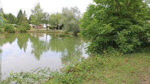 Een rustig meer met omliggende begroeiing en enkele gebouwen in de verte.