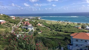 A coastal view with a beachfront property, including a road leading to a building with a red roof, surrounded by greenery and palm trees. - A Touch Of Class To Your Stay-Our Iconic Egg Chair. (Basseterre)