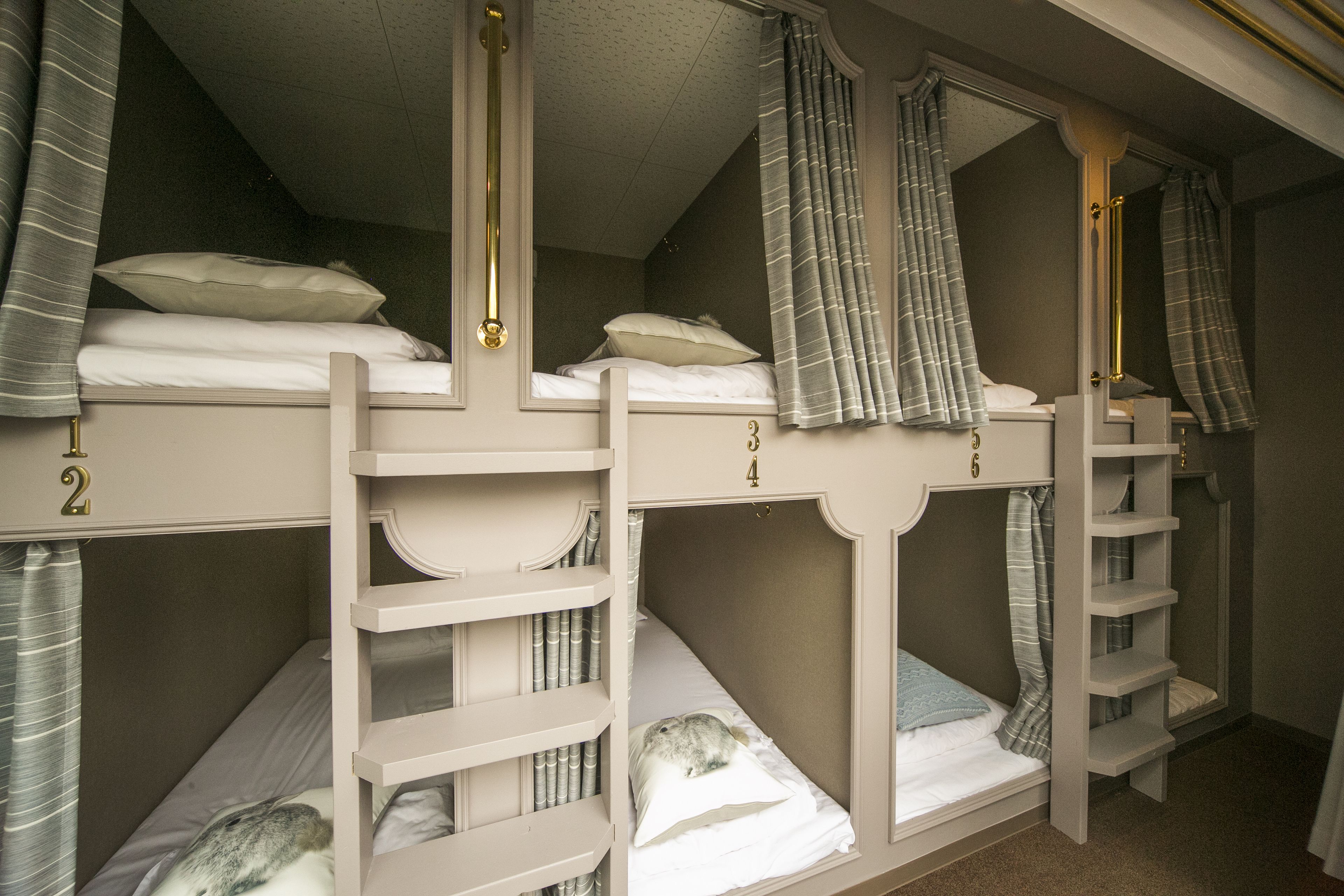 A bunk bed room with two levels, each with a shelf and a pillow.