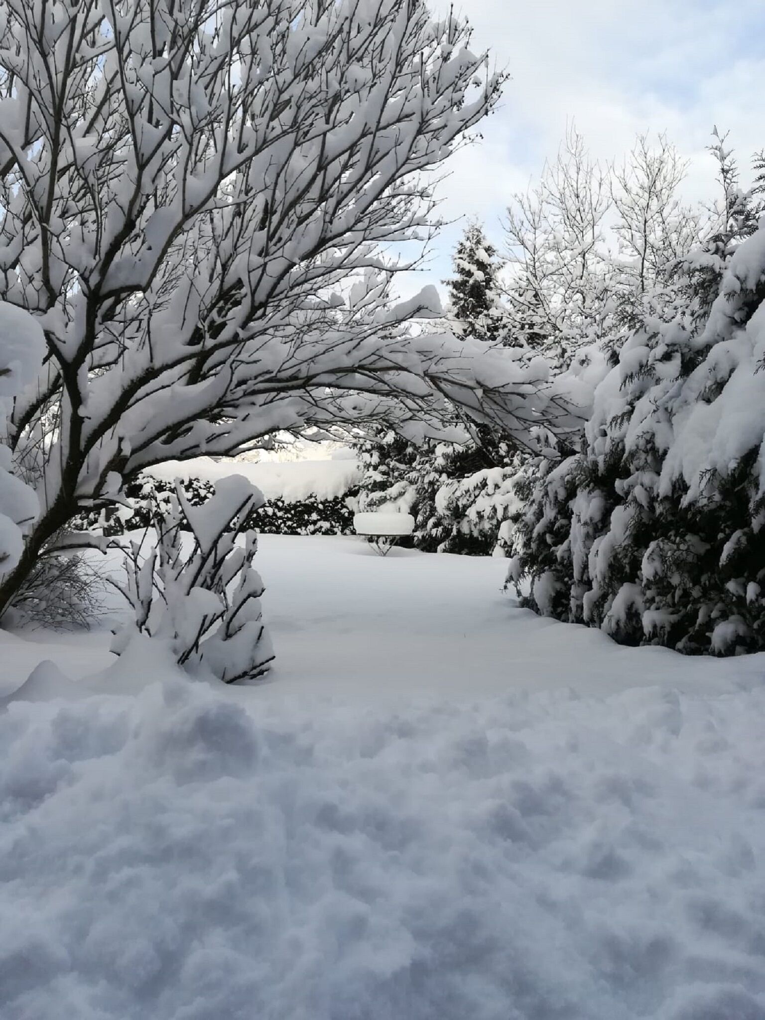 Enceinte de l’hébergement