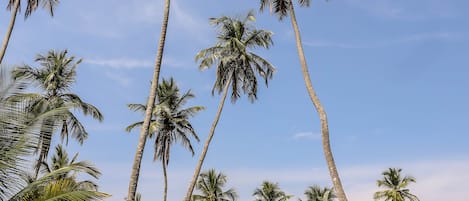 Kolam renang outdoor, dengan kursi berjemur