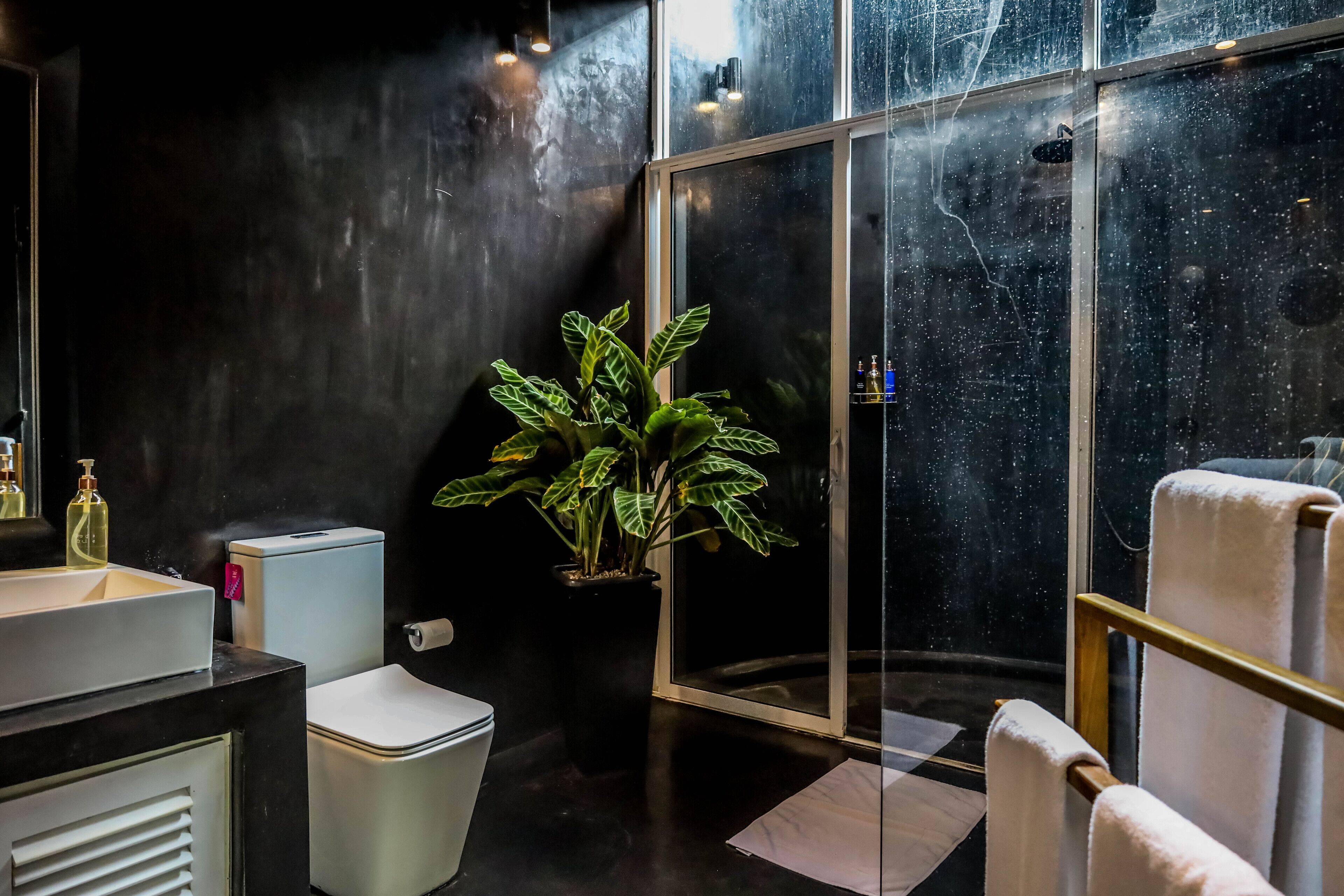 A modern bathroom with a black wall, a white sink, a toilet, a potted plant, a glass shower enclosure, and a towel rack.