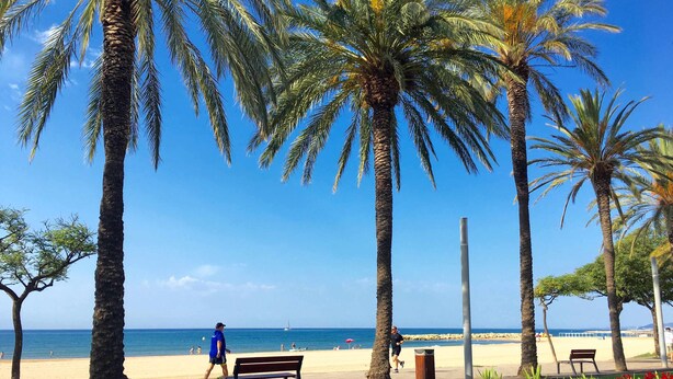 A beach with palm trees, a bench, and a trash can. - Apartment for 4 people terrace sea view Cambrils beach 230m (Cambrils)