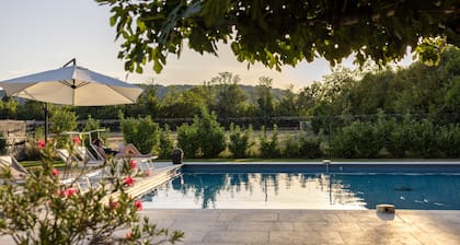 Mas climatisé entiÚrement rénové en provence - Superbe piscine 9m X 9m