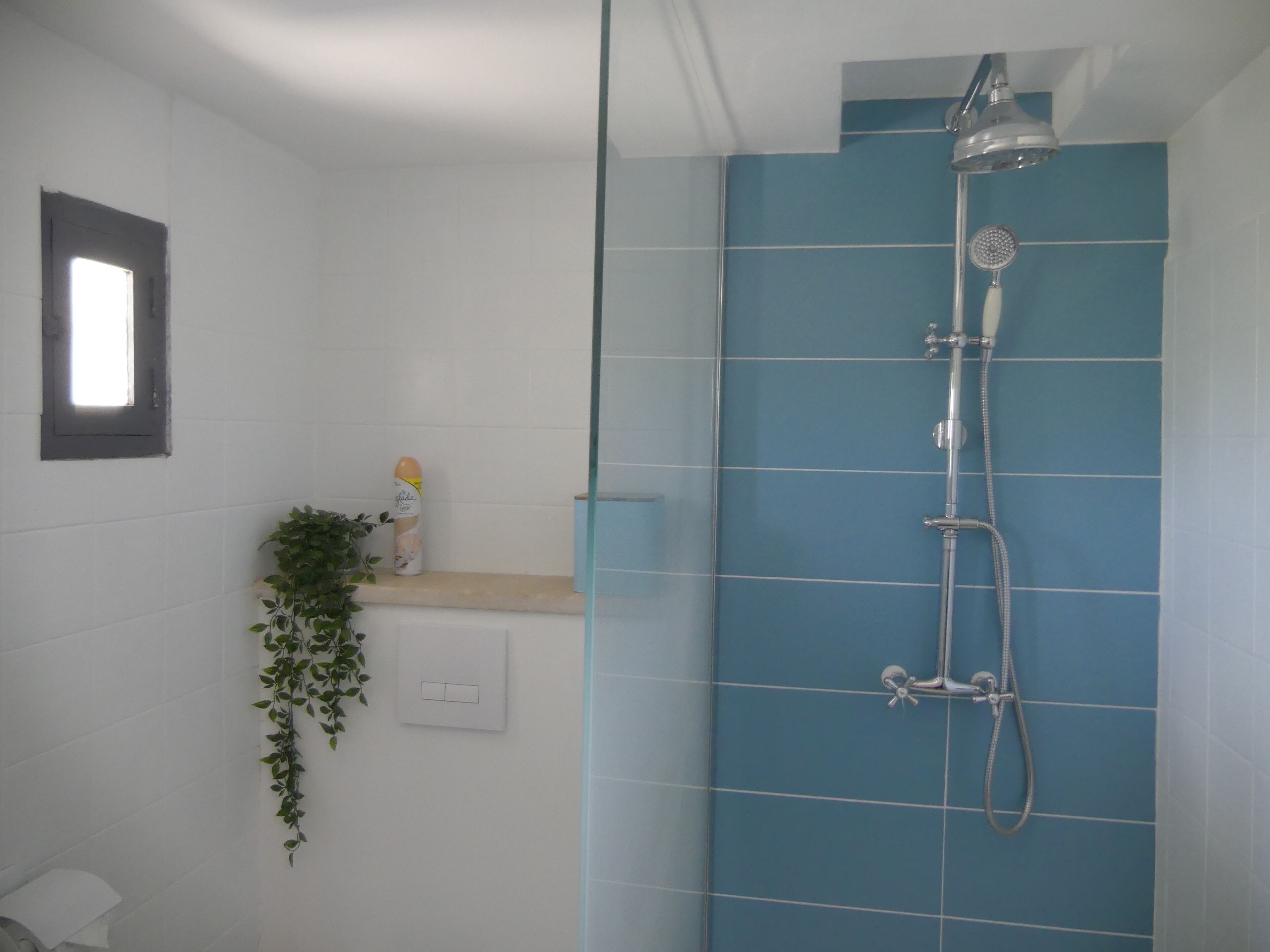 Une salle de bain avec une douche, une petite étagère avec une plante et un interrupteur sur le mur.