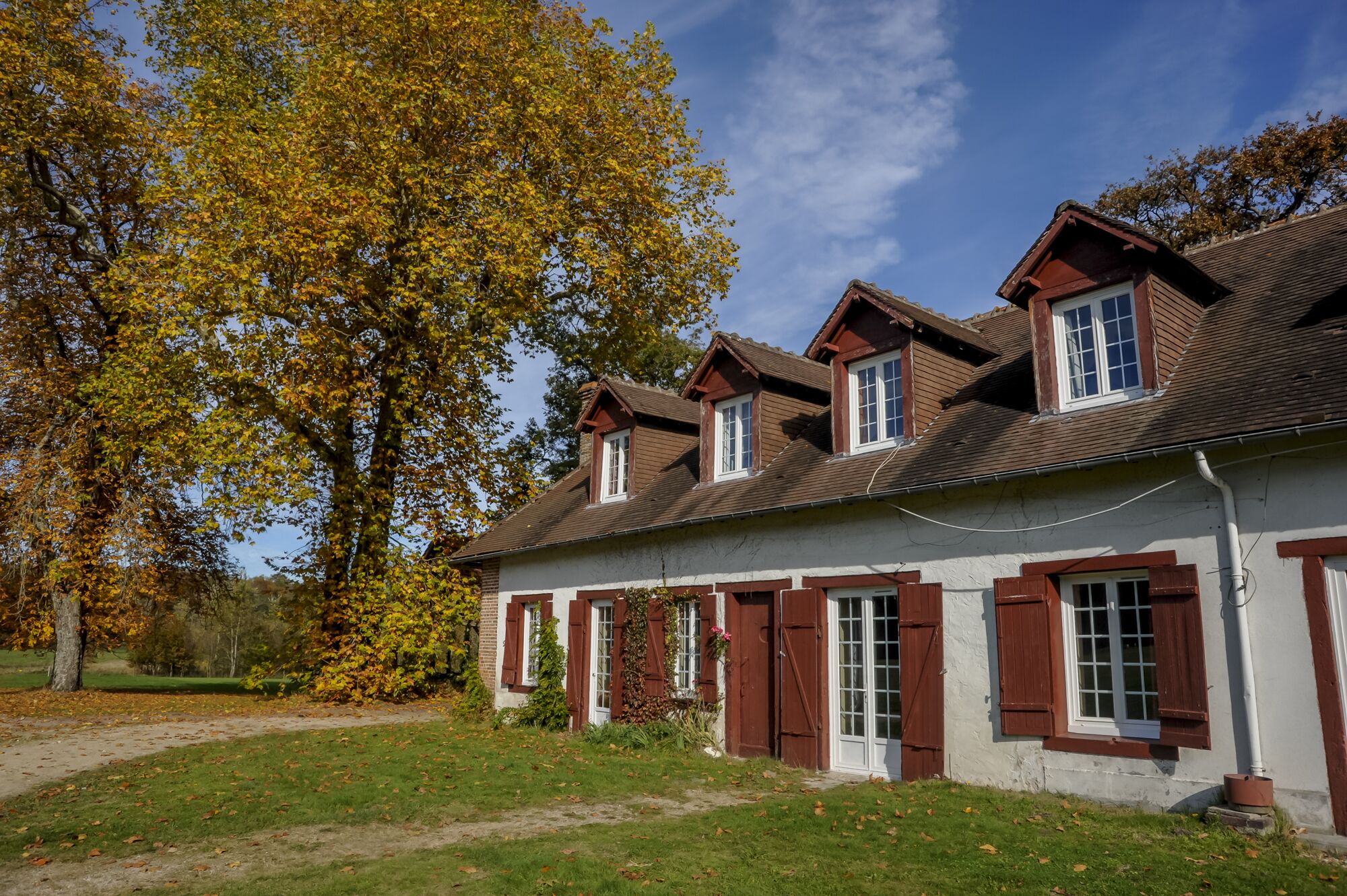 Live like a woodland man with your family