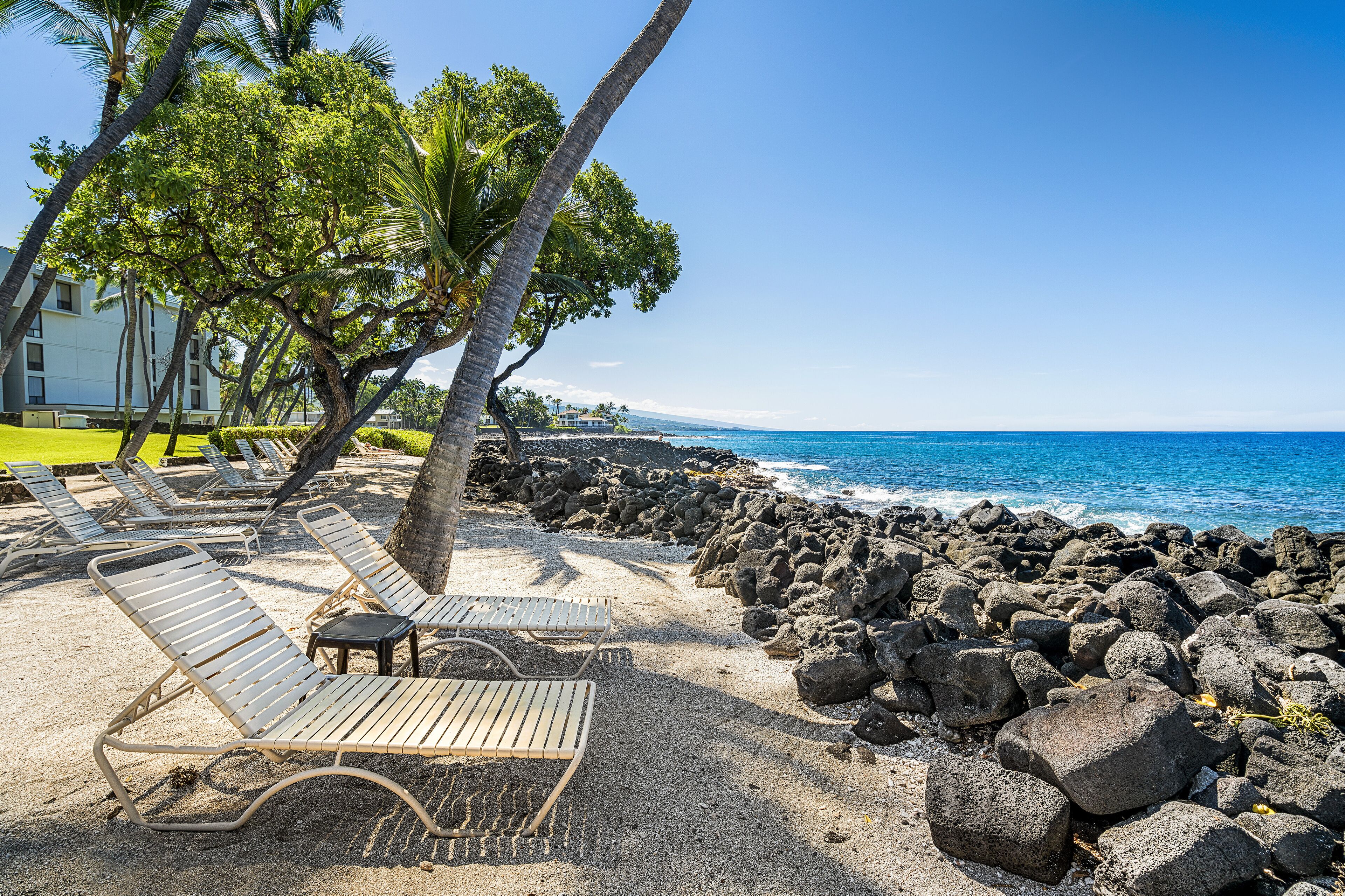 Una playa con sillones de playa, palmeras y un litoral rocoso.
