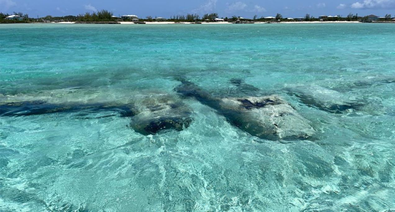 Mar turquesa transparente con formaciones de coral visibles y una costa lejana con edificios.