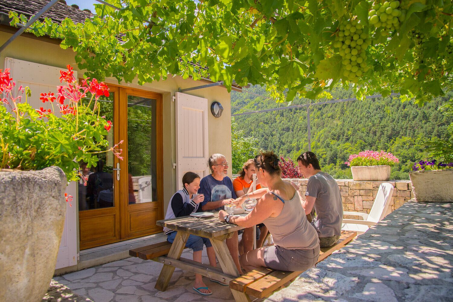 Gîte 2-4 pers aux Vignes - LZV027A0