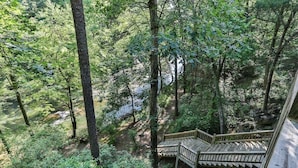 A wooden staircase leading to a deck surrounded by dense forest.