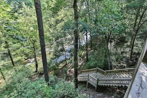 A wooden staircase leading to a deck surrounded by dense forest.