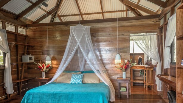 A wooden cabin bedroom with a bed under a canopy, wooden walls, a small desk, and a window with curtains. - Ocean View #2 (Puerto Viejo)