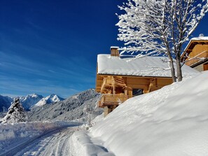 Exterior - YAKUSH CHALET NEAR CENTER 12 PEOPLE  (Saint-François-Longchamp)