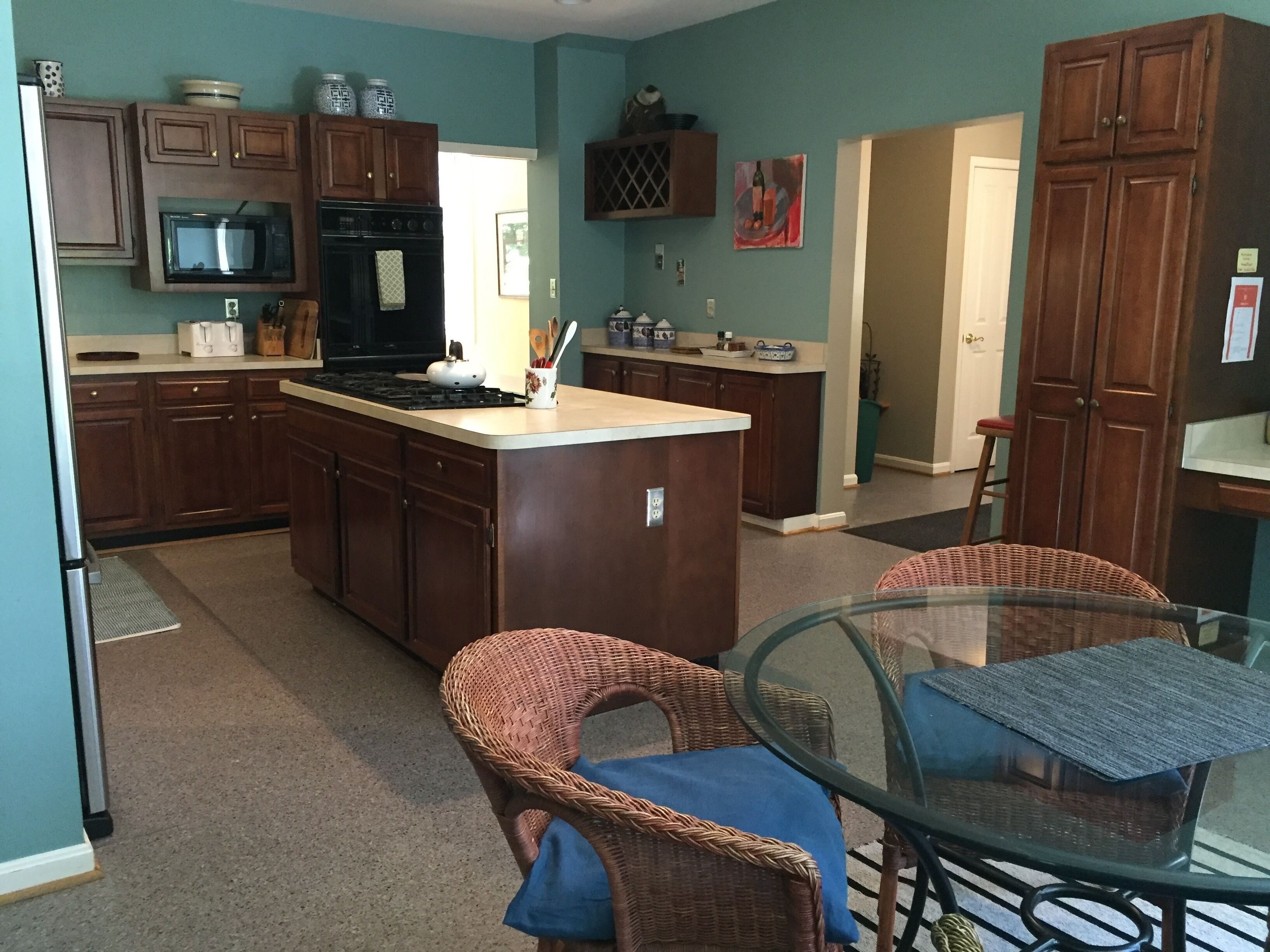 Spacious Beautiful Home with Soul,  Close to DC Sights, Easy Walk to Metro