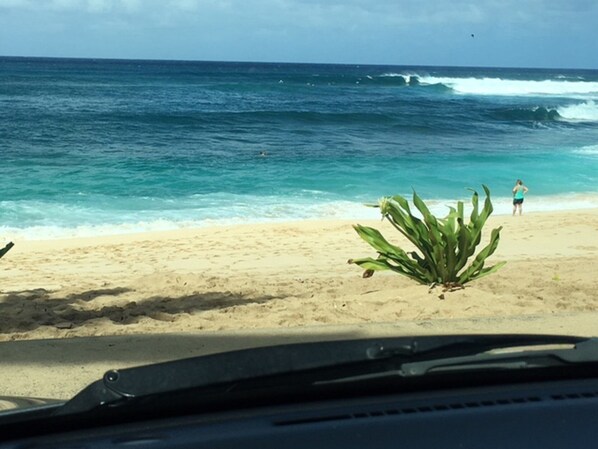 Strand