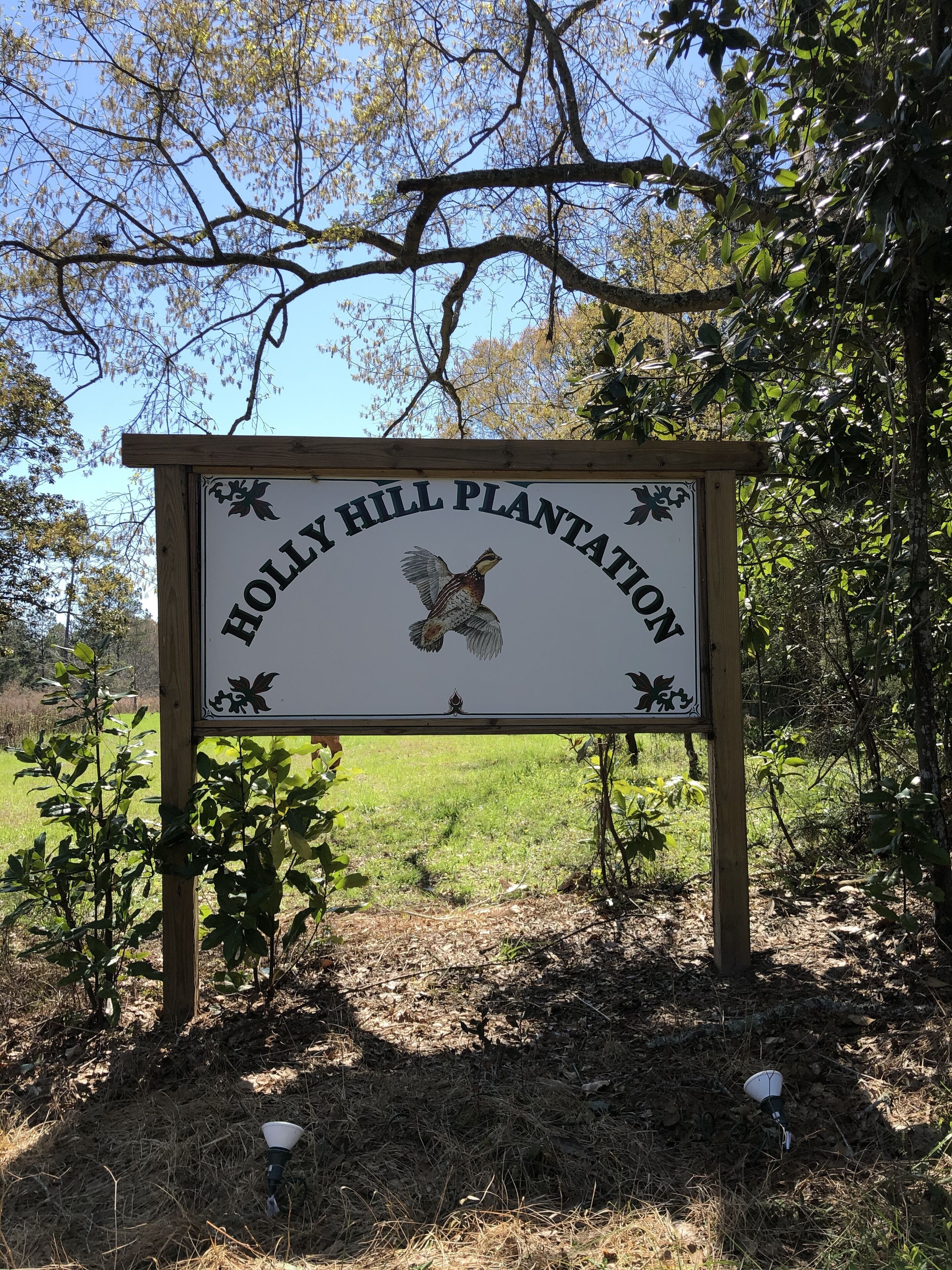 NOW BOOKING FOR  SUMMER and FALL 2021