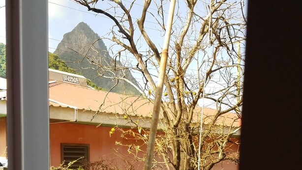 A view through a window with a bare tree, a stone wall, and a building with a red roof in the background. - Private 1 bedroom, modern  self contained   cottage in the heart of Soufriere  (Soufriere)