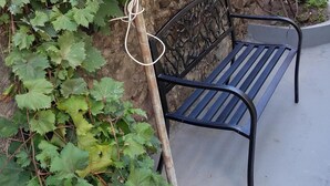 A bench with a metal frame and wooden slats, positioned against a stone wall with climbing vines. - Private 1 bedroom, modern  self contained   cottage in the heart of Soufriere  (Soufriere)