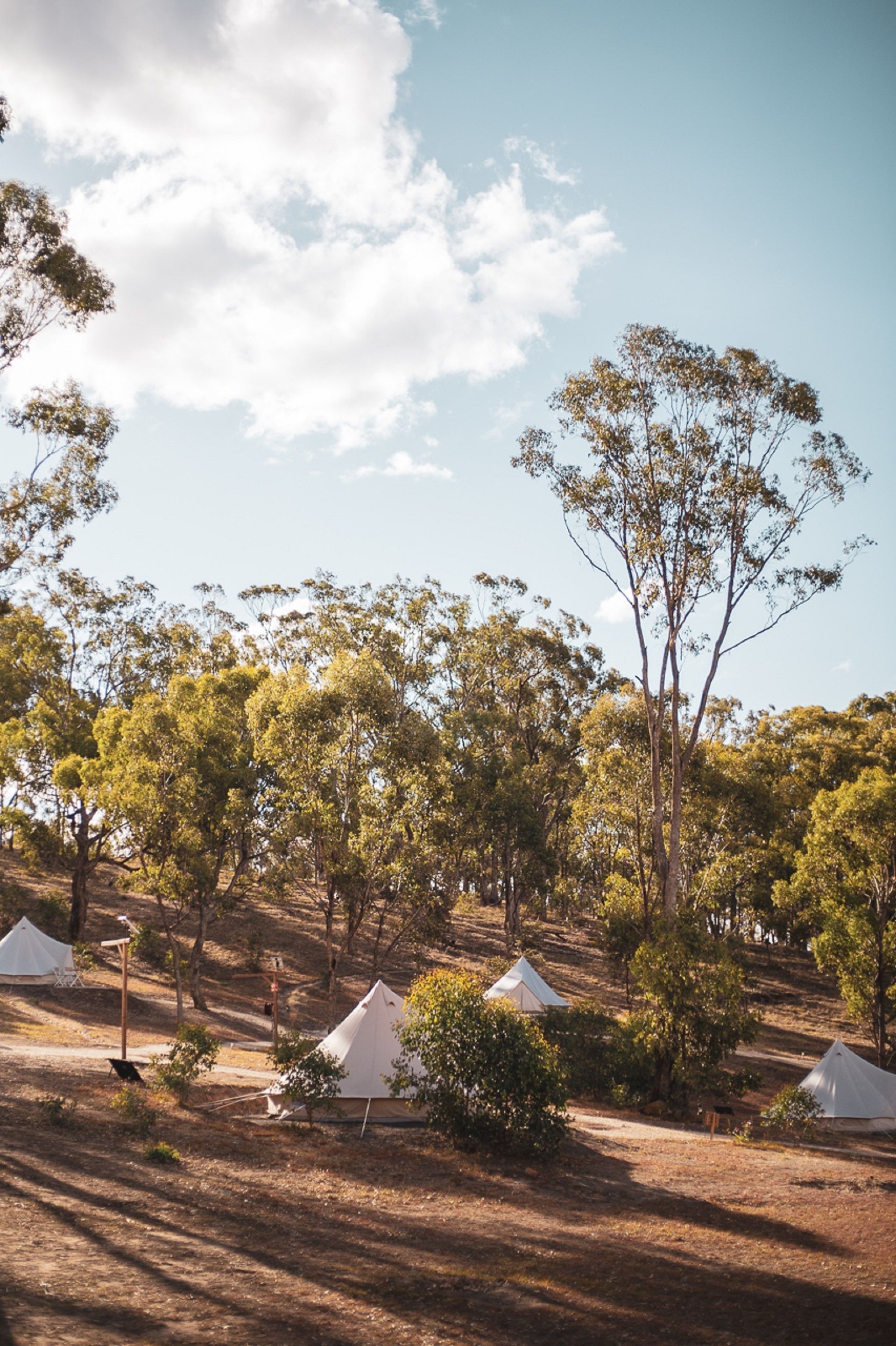 Un terrain de camping avec des tentes et des arbres.