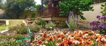 Island Daydreamer at Kingscote
