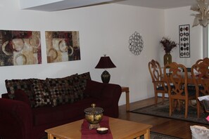 TV, fireplace, books