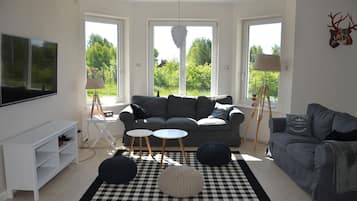 TV, fireplace, DVD player, video library