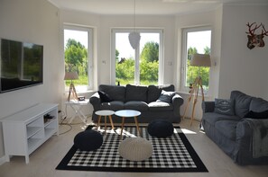 電視、壁爐、DVD 播放機、影像庫