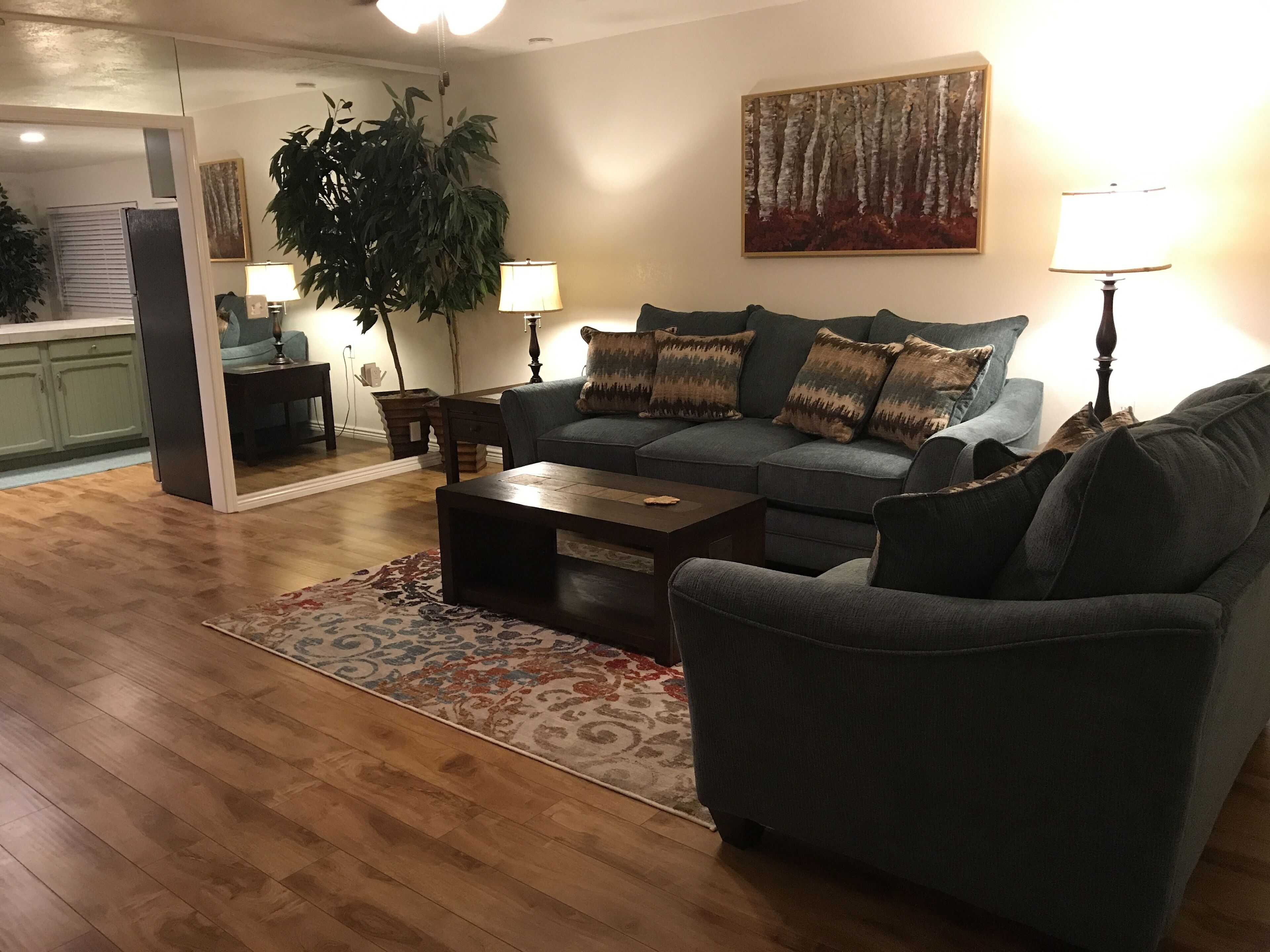 SPACIOUS ONE BEDROOM RIVERFRONT APARTMENT