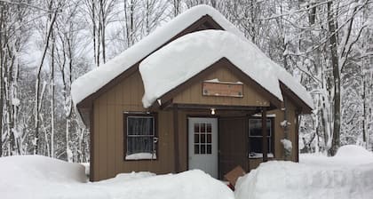 Gemütliche Hütte - North Osceola, NY, Camping, Entspannen, Jagen, Angeln, Wald
