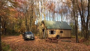 A cabin with a metal roof, a picnic table, and a grill outside.