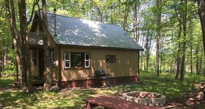 Viihtyisä mökki - North Osceola, NY, Retkeily, rentouttava, metsästys, kalastus, metsät